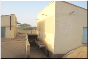 Agriculture rizicole à Kaédi : L’OMVS va t- elle  hypothéquer la  Campagne  2013 ? 