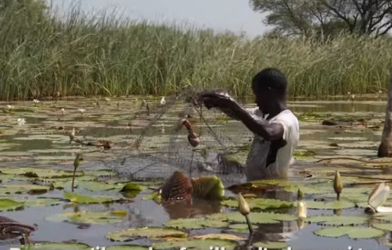 Mauritanie, à la rencontre de l’association Keur mour ca kanam qui réhabilite la mare de la commune de Kheir
