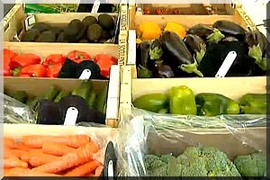 Méditerranée: l'Algérie organise la 1ère conférence ministérielle du dialogue 5+5 sur l'agriculture et la sécurité alimentaire