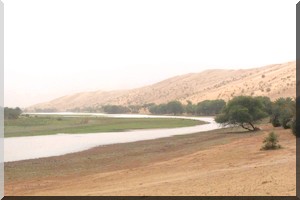 Chiffres comparés sur les irrigués du riz et dattes