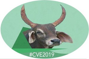 Déclaration : La CVE engage le Gouvernement à reporter l'ouverture des classes