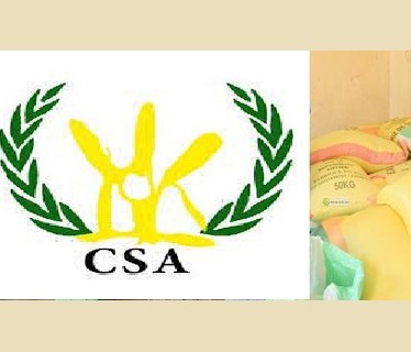 Lecture dans le dernier rapport de la Cour des comptes : Le sac du CSA