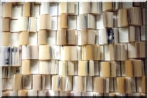 Mauritanie : « Il y a un manque d’audace chez nos auteures » 