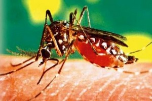 Eclaircissements sur le cas suspect de fièvre hémorragique hospitalisée et décédée au centre national de cardilogie