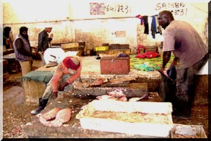 Nouadhibou : profession écailleur de poissons