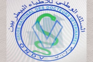 Lettre : A son Excellence le Président de la République, M. Mohamed Ould Cheikh El Ghazouani