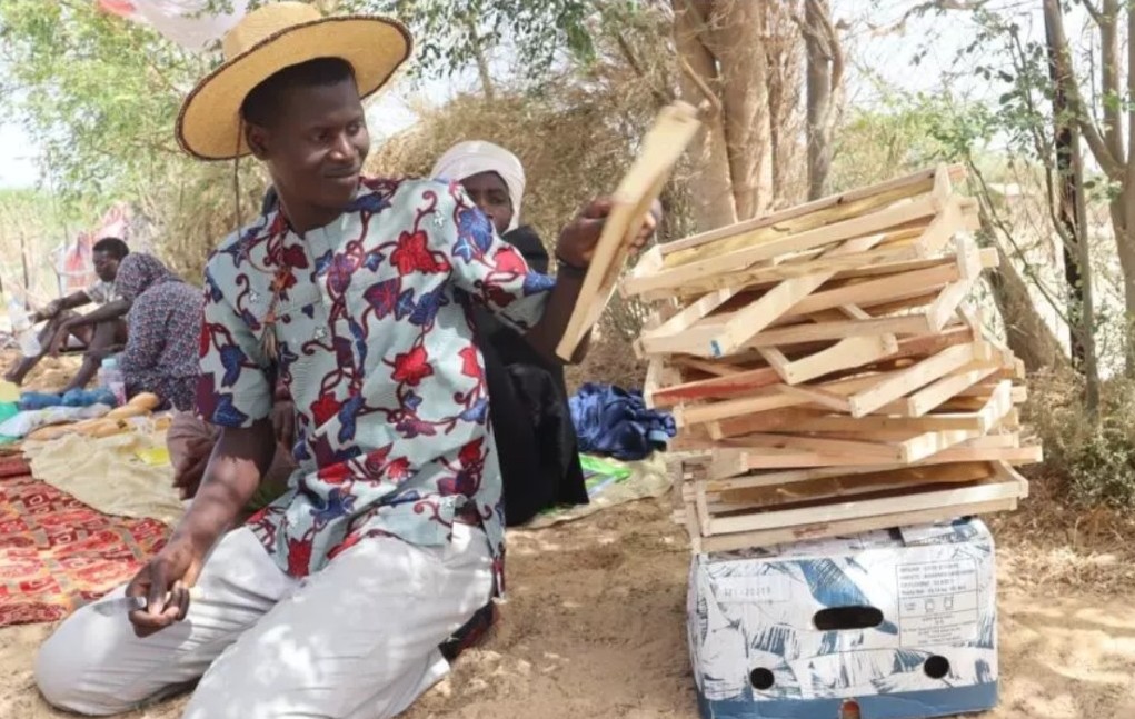 L'Afrique en marche | Une startup mauritanienne butine avec les abeilles