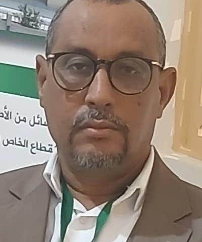 La crise des valeurs sociétales et organisationnelles en Mauritanie : défis actuels et perspectives d'avenir