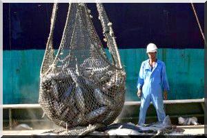 Des Ong dénoncent le pillage des eaux mauritaniennes