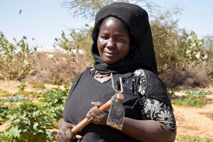 Réfugiés et Mauritaniens partagent leurs stratégies d’adaptation au changement climatique