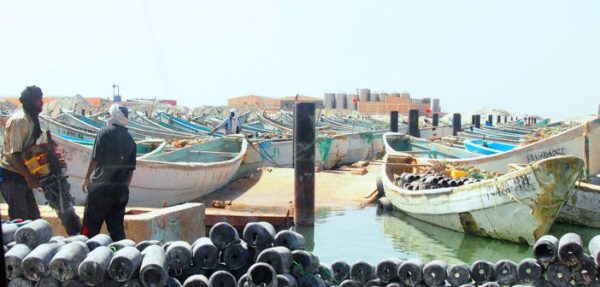 Reprise des activités de pêche : Les artisans prennent le large !