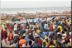 Mauritanie: des centaines d’embarcations de pêche artisanale bloquées à quai