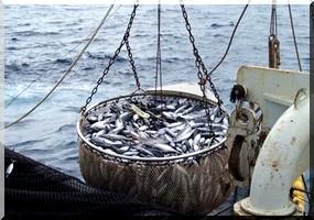 Convention de pêche avec Polyhondone, le péché originel