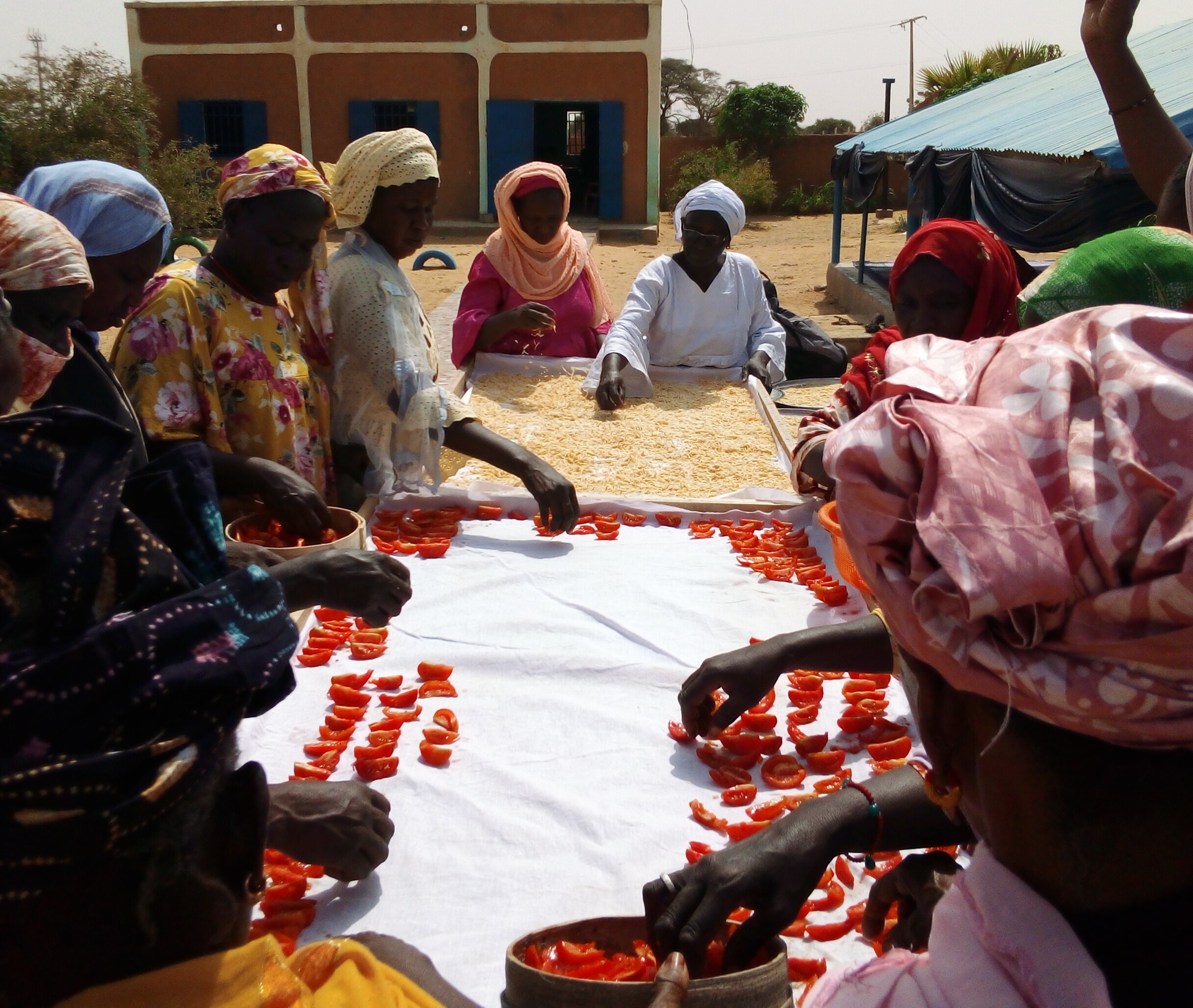 Boghé : une vingtaine de femmes formées sur la transformation des produits locaux et maraîchers