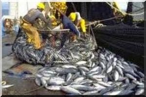 Prorogation de dix jours du repos biologique en Mauritanie