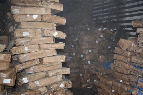  Poissons congelés : les Pays-Bas, l’Uruguay et la Mauritanie assurent plus de 70% des importations du Cameroun en 2021 