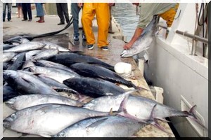 Pêche : Vers l’accord de trop ?