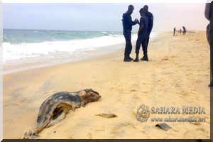  Des parlementaires demandent une enquête à propos de la pollution maritime