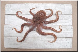 Célébration de la journée du poulpe