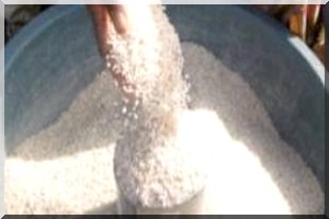 Mauritanie : la production rizicole couvre 69% des besoins du pays (ministre)