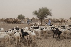 Aire de Repos de Robine, des infrastructures en phase de finition