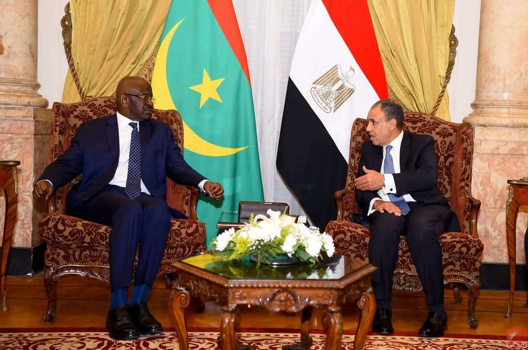 Mines, Infrastructures, Pêche, Education... Le ministre des Affaires étrangères rencontre son homologue égyptien