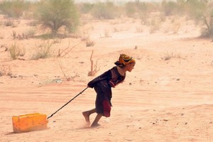 Mauritanie: le manque de pluies accroît les risques de malnutrition