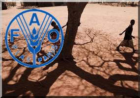 La FAO demande 70 millions de dollars pour la sécheresse au Sahel