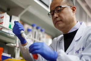 La Chine détrône les États-Unis et devient le champion des demandes internationales de brevets