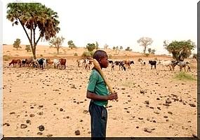 Le programme alimentaire mondial propose assurance contre les risques de sécheresse...