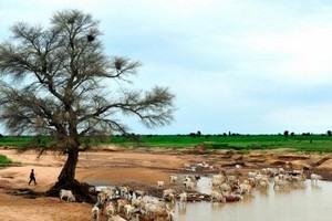 Mauritanie. Sept villages dénoncent des expropriations au profit d'un officier de l'armée