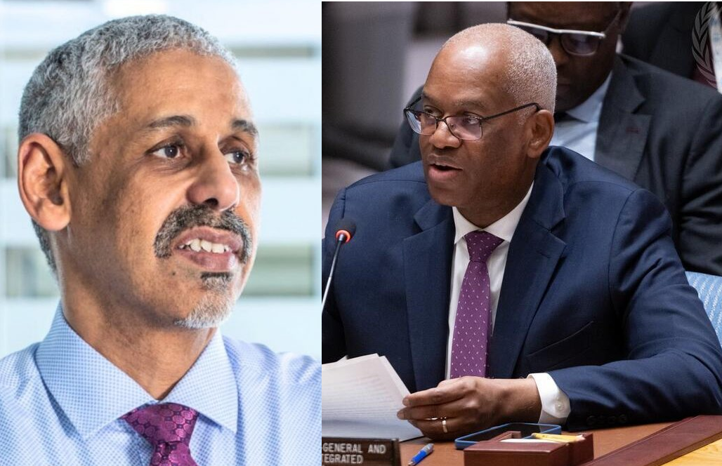 Des compétences mauritaniennes au service des grandes institutions internationales