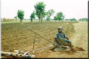 Mobilisation des populations de Darel Barka et de Ould Birome contre l’attribution de 31000 ha à 'Rajihi'