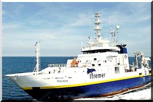 Un 'refroidissement exceptionnel' signalé dans les eaux mauritaniennes et sénégalaises 