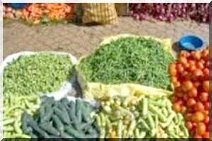  La Mauritanie cible 100.000 tonnes de légumes par an 