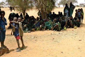 UE : 50 millions d’euros pour la Corne de l’Afrique touchée par la sécheresse