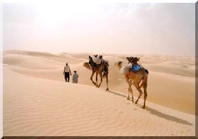 Des tickets en dollars pour booster le tourisme en Mauritanie. 